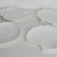 Seashell Bone China Plate Set