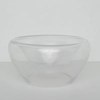 Double Wall Glass Bowl