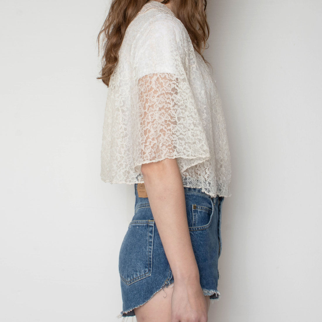 Antique Lace Sheer Crop Top