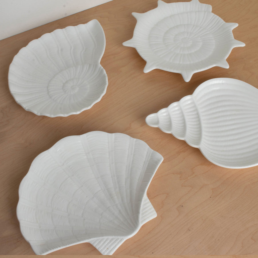 Seashell Bone China Plate Set