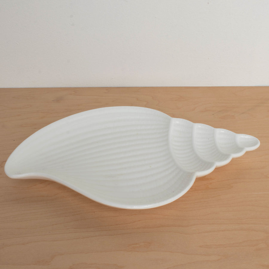 Seashell Bone China Plate Set