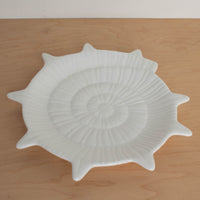 Seashell Bone China Plate Set